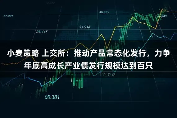 小麦策略 上交所：推动产品常态化发行，力争年底高成长产业债发行规模达到百只