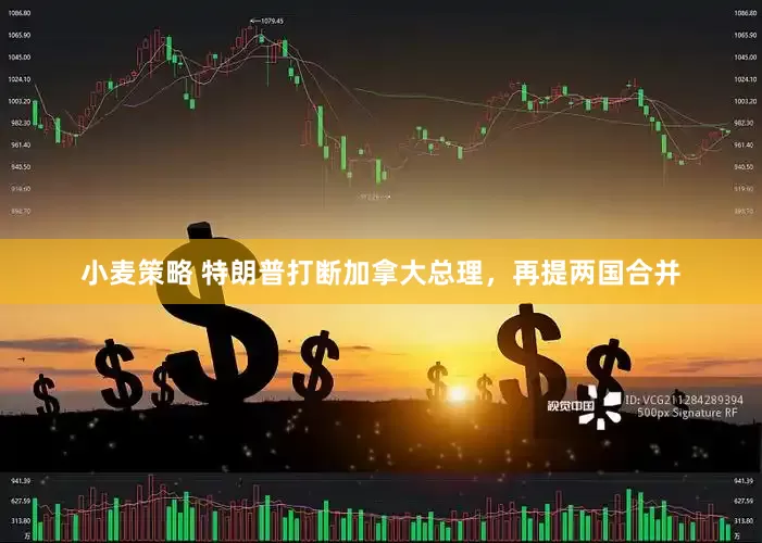 小麦策略 特朗普打断加拿大总理，再提两国合并