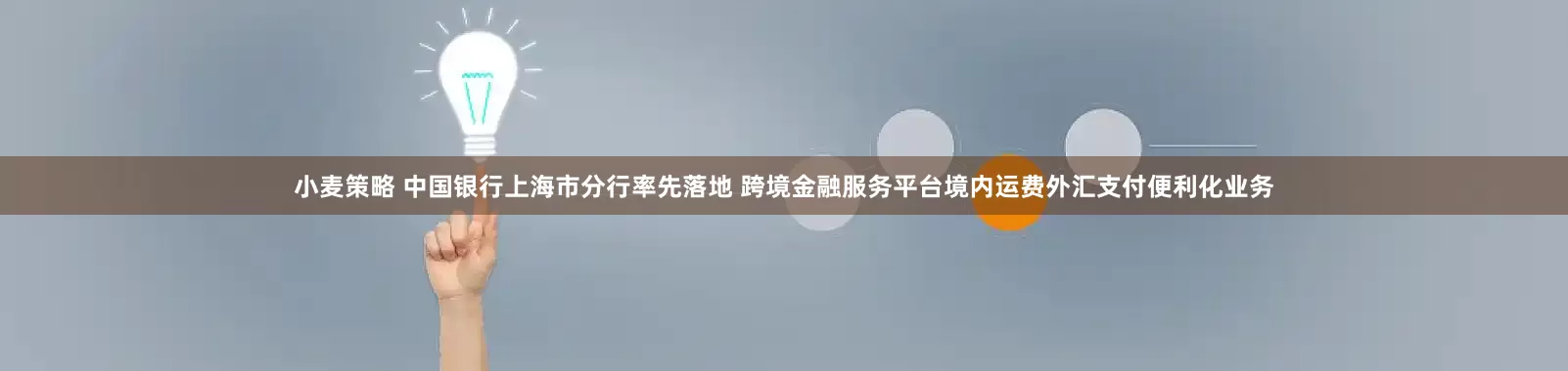 小麦策略 中国银行上海市分行率先落地 跨境金融服务平台境内运费外汇支付便利化业务
